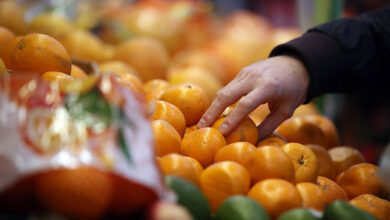 Photo of Главный фрукт зимы или почему тебе стоит есть мандарины чаще